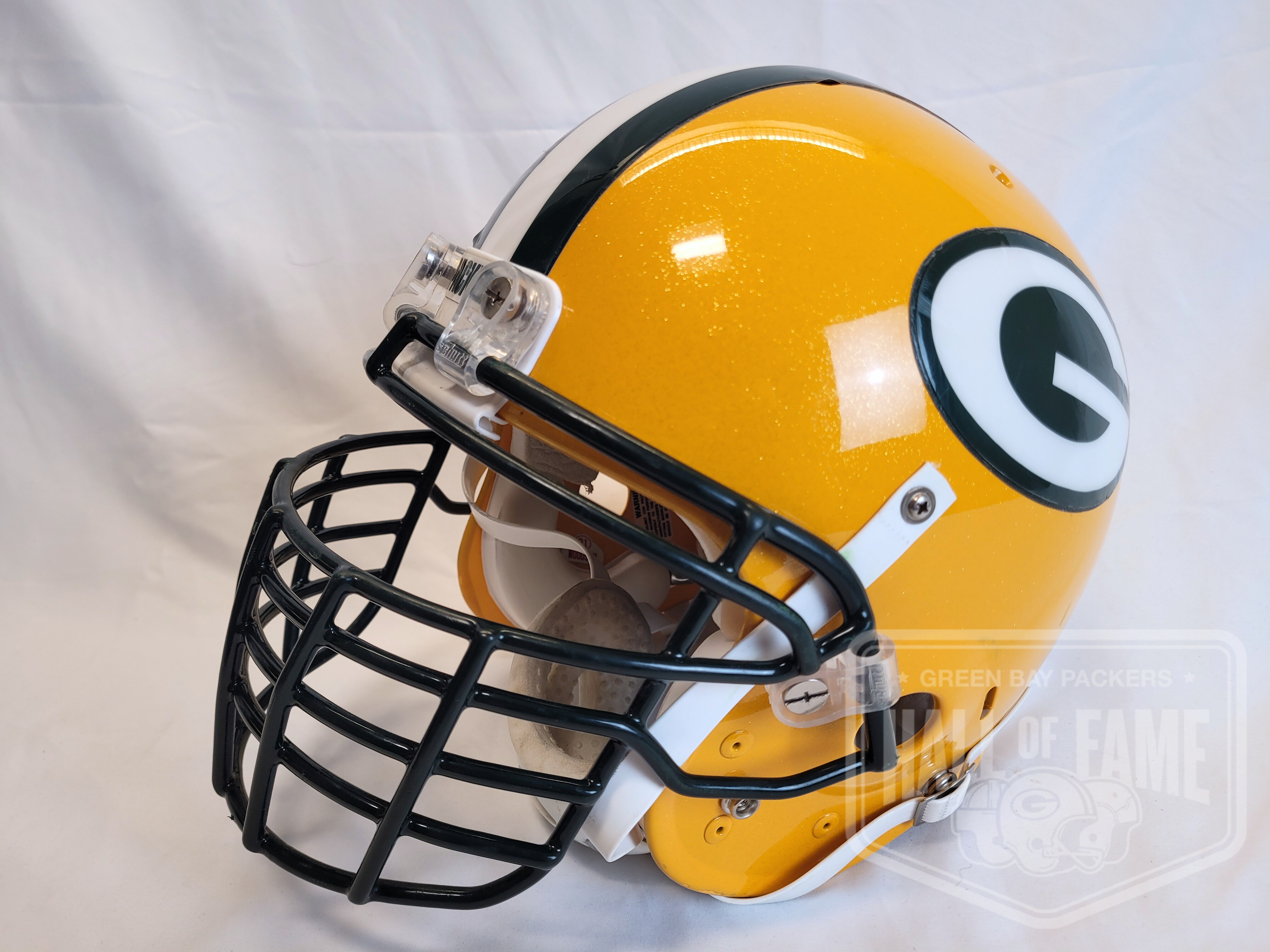 Charles Woodson Game-Worn Helmet